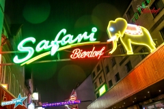 safari_by_nordischpic_hamburg_grossefreiheit_04.01.19 (25 von 29)